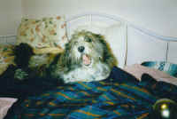 a-stormielaughing_small