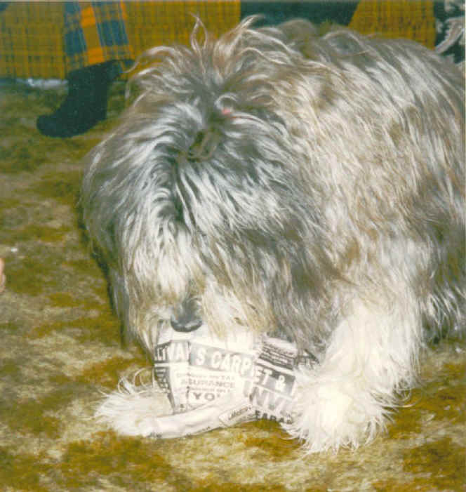 a-stormieopenspresents