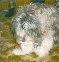 a-stormieopenspresents_small