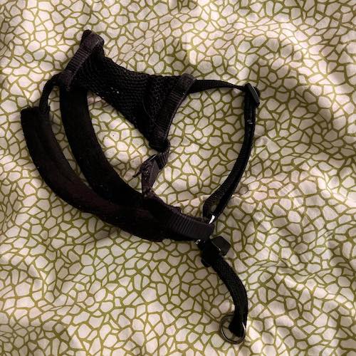 Dog harness