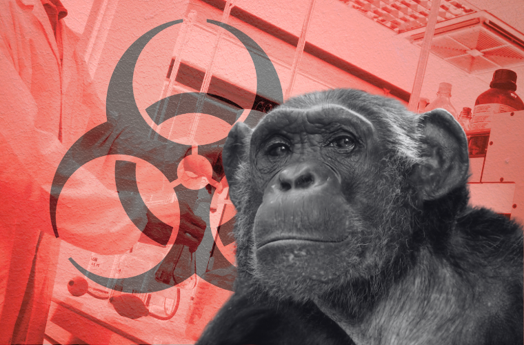 lab, biohazard symbol, and chimpanzee