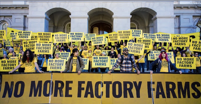 no more factory farms