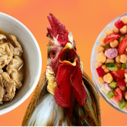 rooster and vegan foods