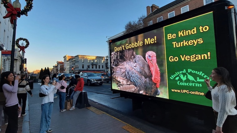 holiday turkey kindness ads