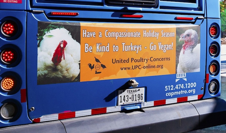 holiday turkey kindness ads