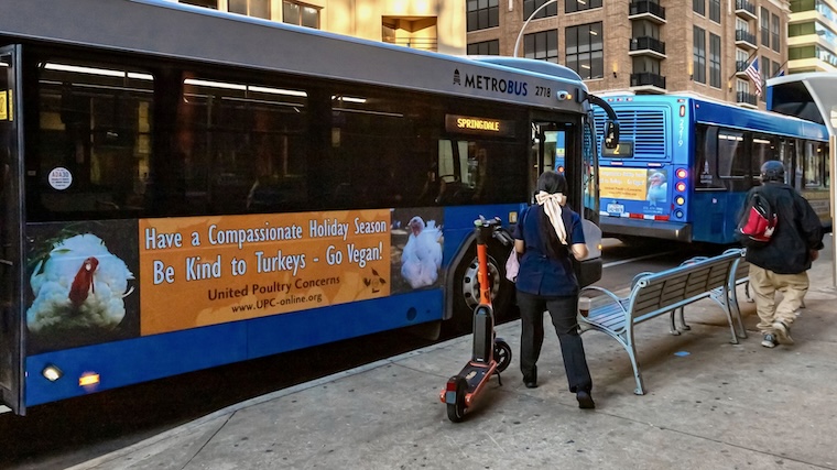 holiday turkey kindness ads