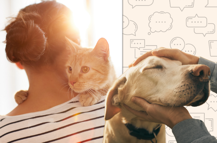 human holding cat, human petting dog, and speech bubbles