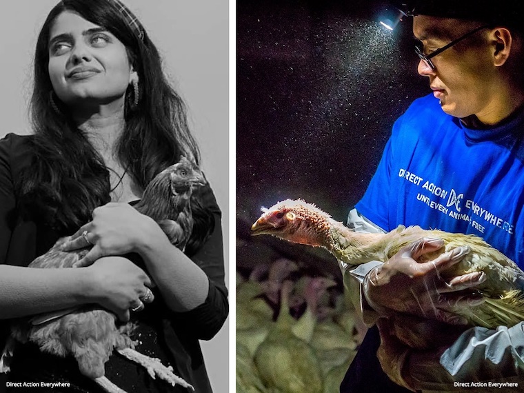 Priya Sawhney Wayne Hsiung