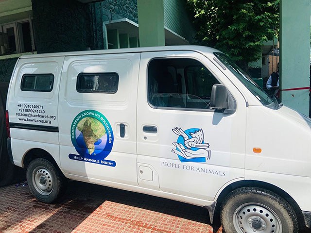 animal ambulances