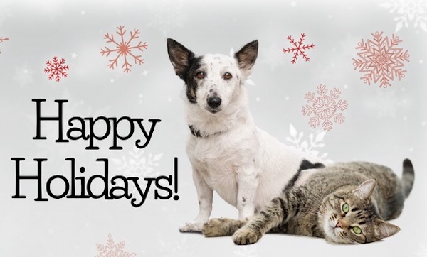 Happy Holidays cat dog