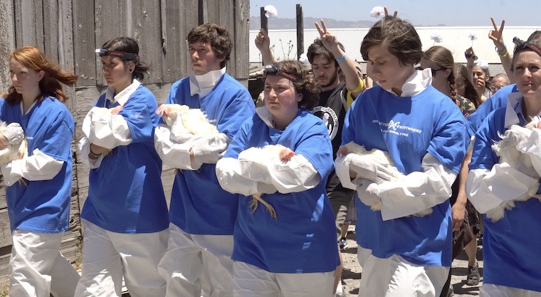 National Animal Rights Day