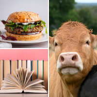 vegan burger, books, and cow