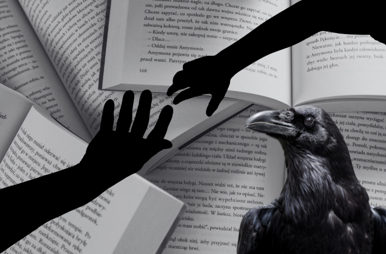 image books, hands, and crow