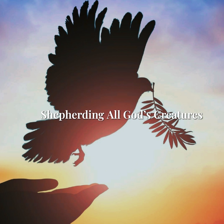 Shepherding All God's Creatures