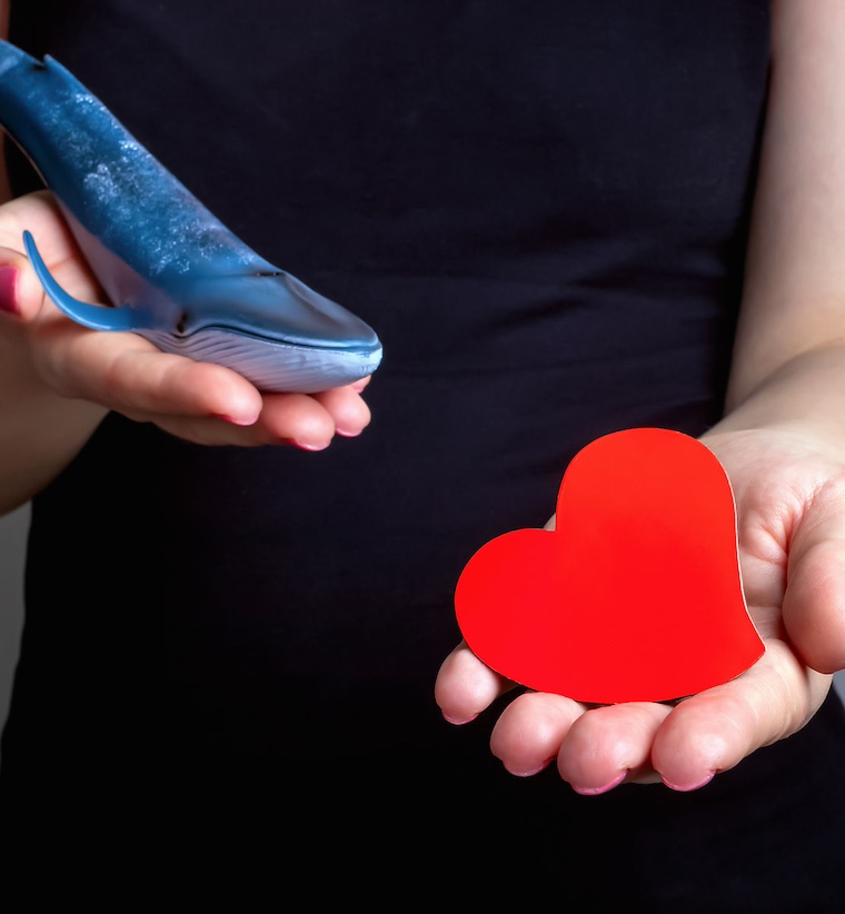 person holding small whale and heart