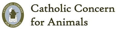 Catholic Concern for Animals