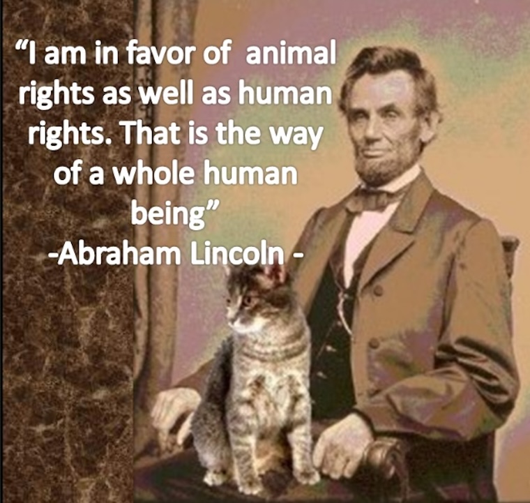 Abraham Lincoln animals