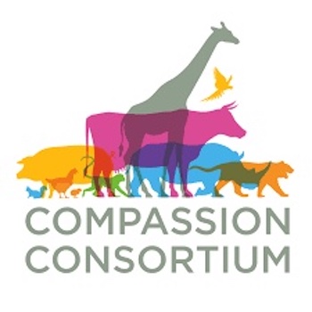 compassion consortium