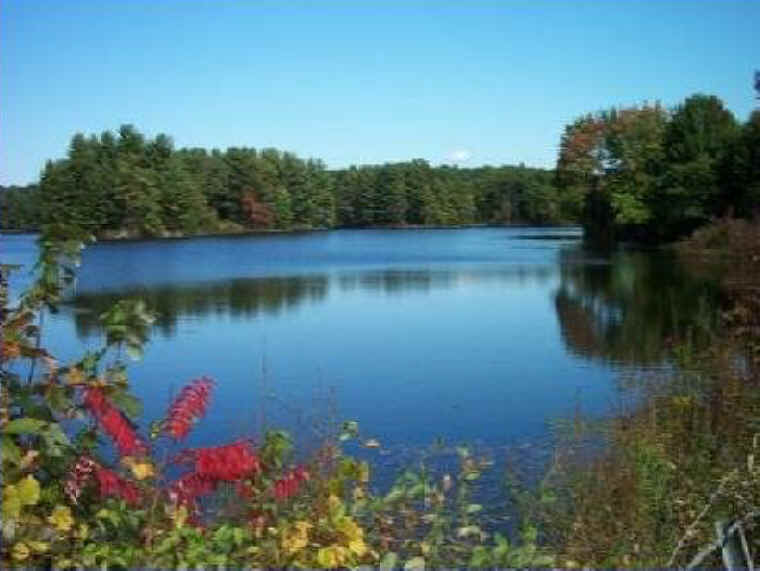Sumac Scenery