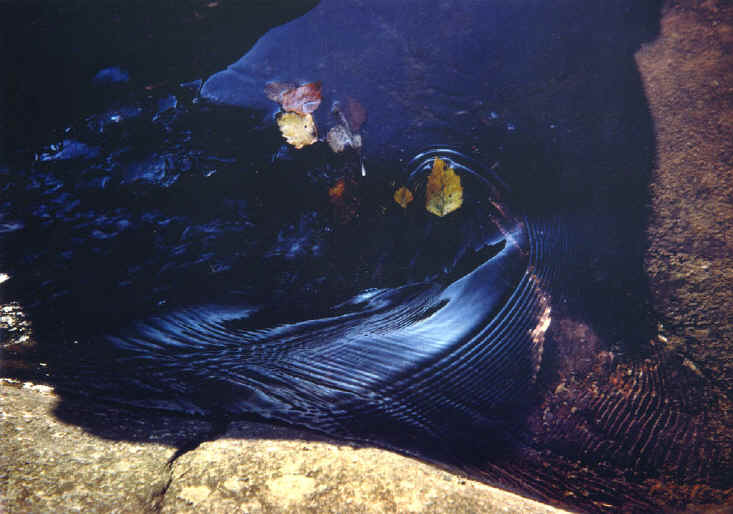 Pond at Johnson Shut-Ins