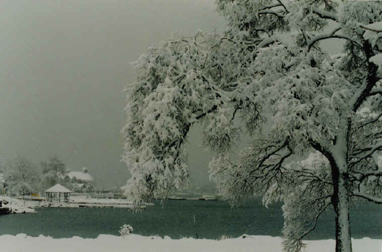 Winter Peace