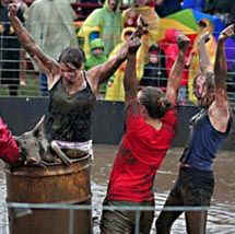 pig wrestling bullies bullying