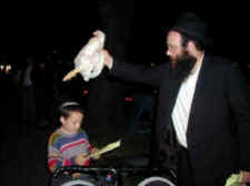 chickens kaporos Jewish tradition