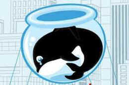 seaworld orca tillikum Macys