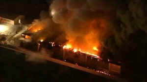 fire hen chicken eggs
