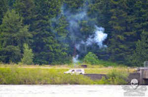 cormorant cull eating fish