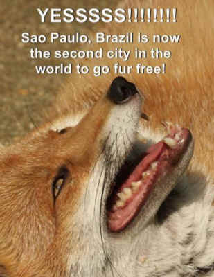 fur-free Sao Paulo