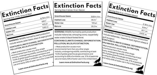 extinction facts