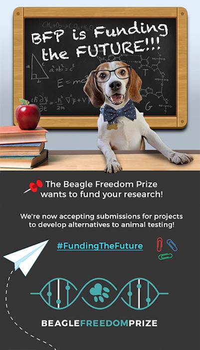 research alternatives