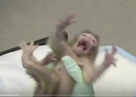 tortured baby monkey