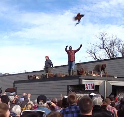 chicken toss