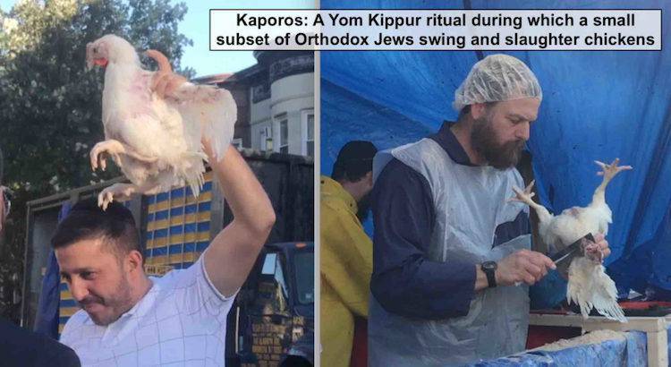 chickens as kaporos
