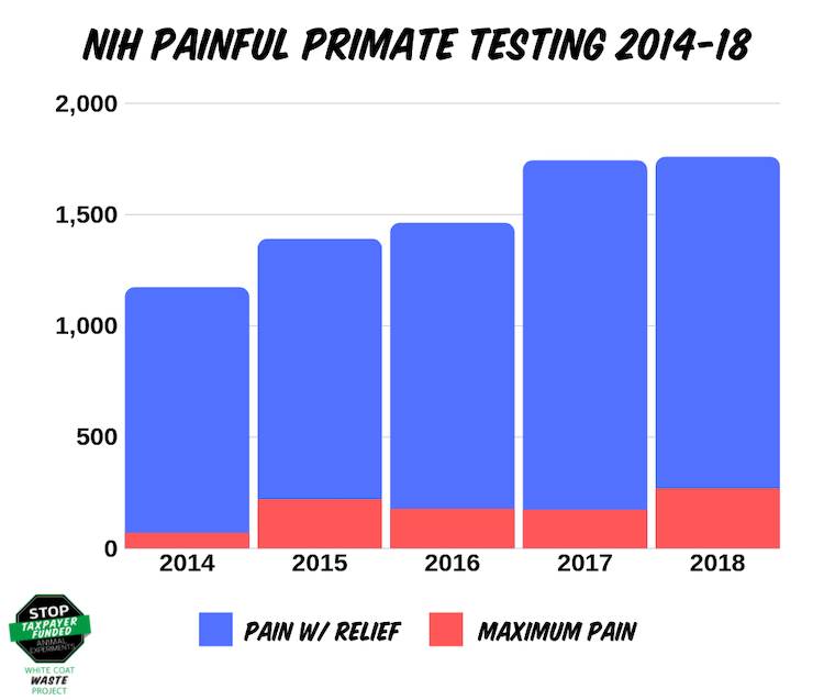 painful testing