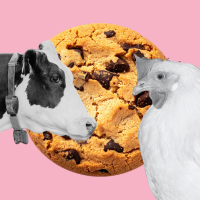 cow, chicken, and cookie