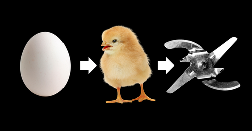 egg, chick, and blades