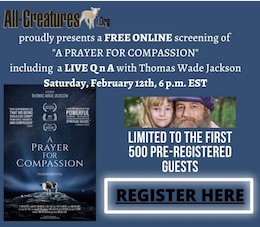 Prayer for Compassion