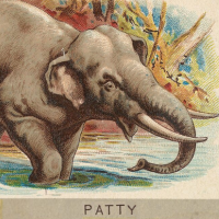 elephant painting