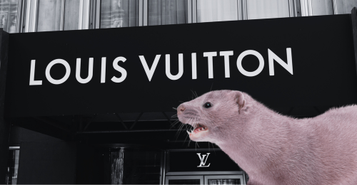 image of mink and Louis Vuitton sign