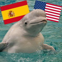 beluga whale and flags of Spain and U.S.