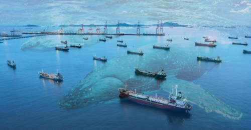 ships and whales