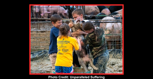 children holding a pig while pig screams