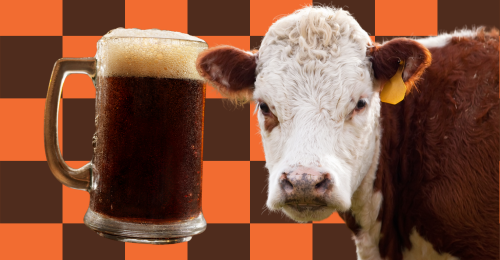 root beer and cow