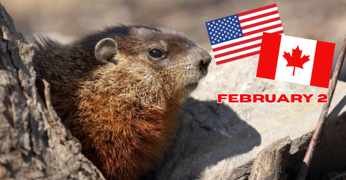 groundhog, U.S. and Canadian flags, and February 2