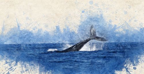 whale watercolor