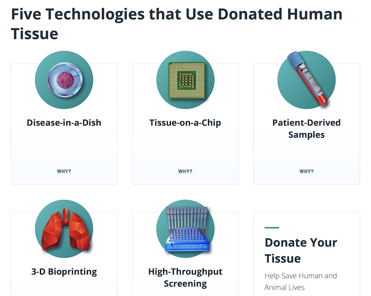 human tissue technology
