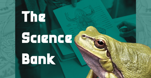 frog, frog diagram, and text reading 'The Science Bank'